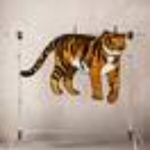 CATY CAT viskoseteppe 180x120 cm Svart/gull